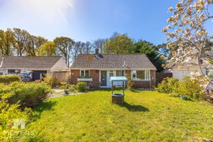 Photo 11- click for photo gallery